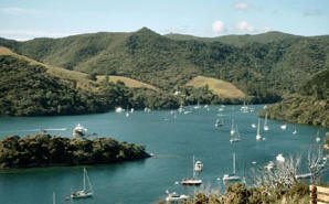 Port FitzRoy - Photo by Kay Stowell