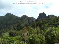 Windy Canyon to Mt Hirakimata (Mt Hobson)