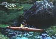Sea Kayaking on Great Barrier Island