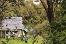 Looking out to the estuary from the Reussers' garden